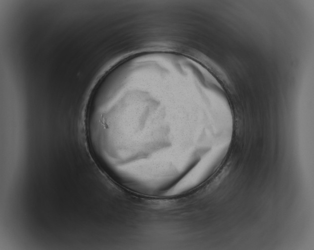 X0000100961192200807151351