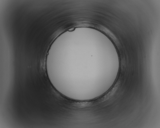 X0000100961193200807151351