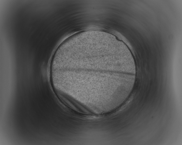 X0000100961195200807151351