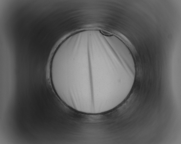 X0000100961196200807151351