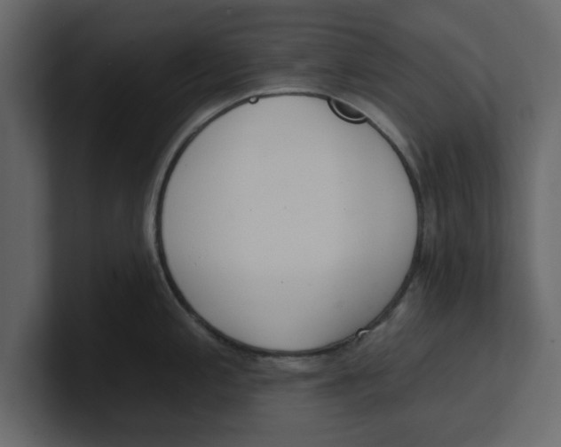 X0000100961197200807151351