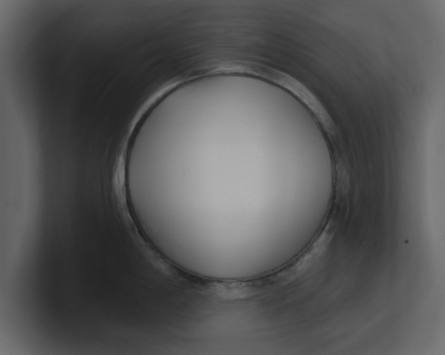 X0000100961198200807151351