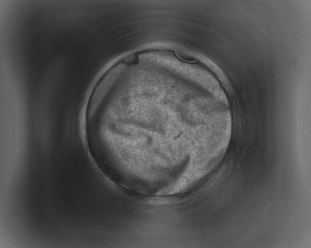 X0000100961199200807151351