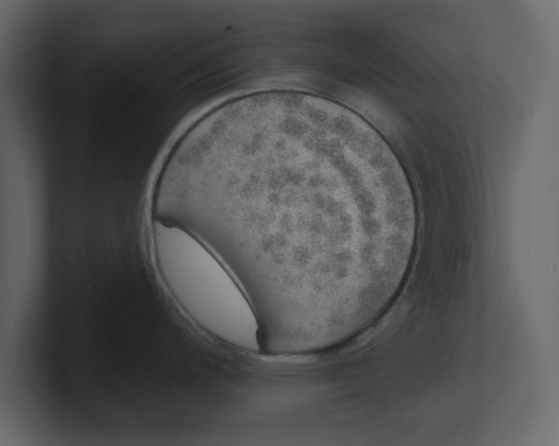 X0000100961200200807151351