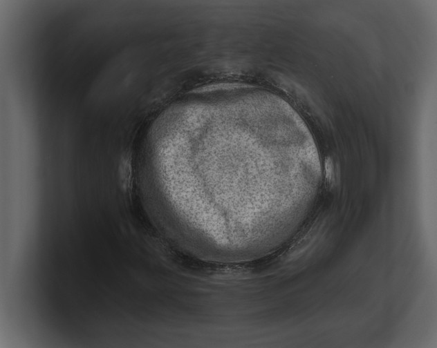 X0000100961203200807151351