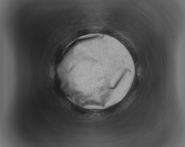 X0000100961204200807151351