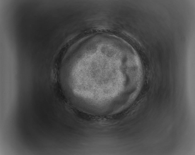 X0000100961207200807151351