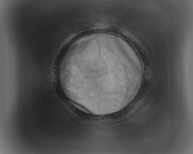 X0000100961208200807151351