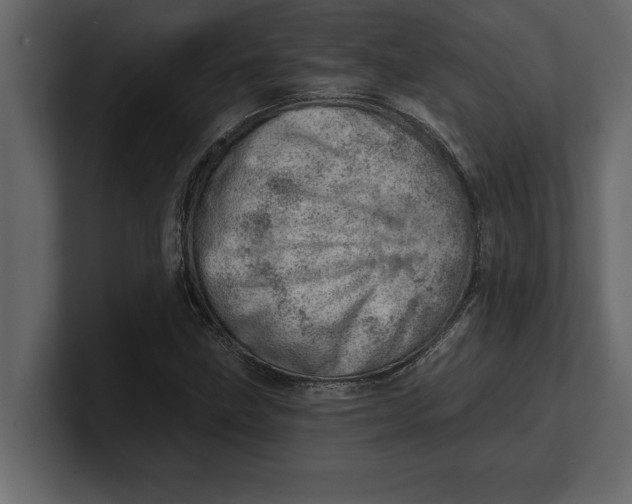 X0000100961211200807151351