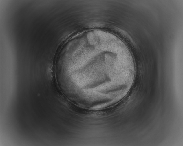 X0000100961217200807151351