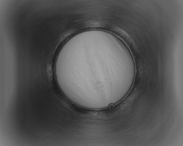 X0000100961218200807151351