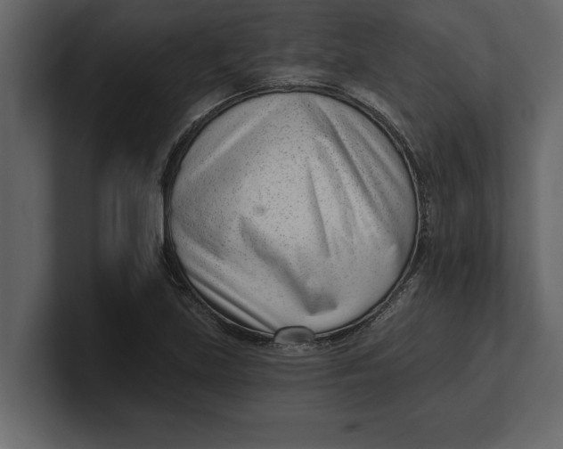 X0000100961219200807151351