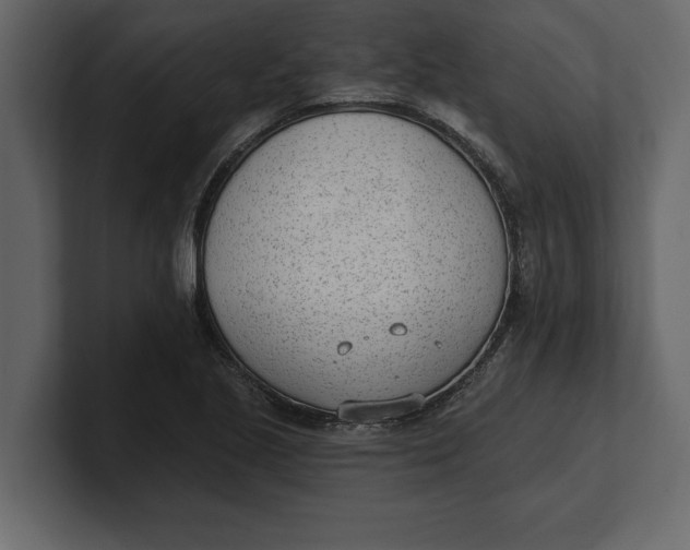 X0000100961221200807151351