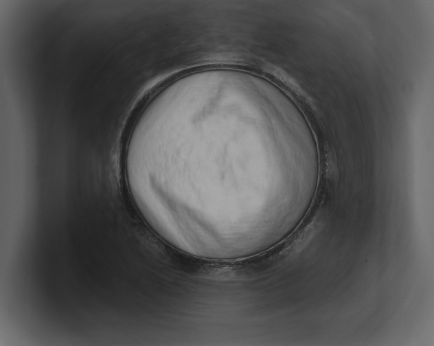 X0000100961222200807151351