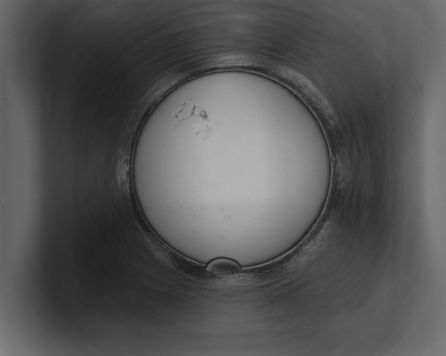 X0000100961225200807151351