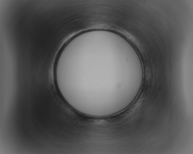 X0000100961230200807151351