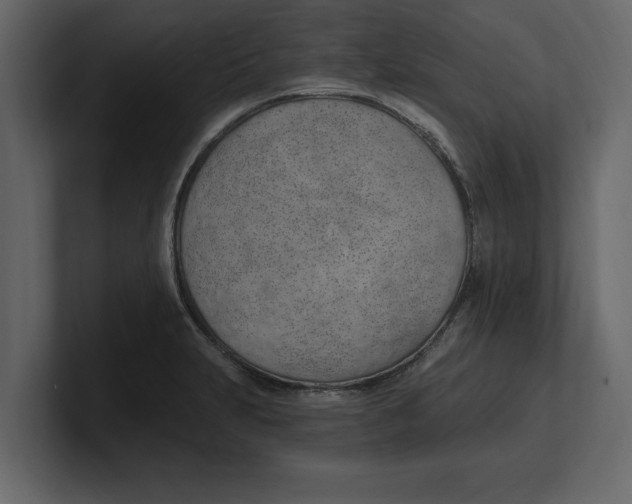 X0000100961231200807151351