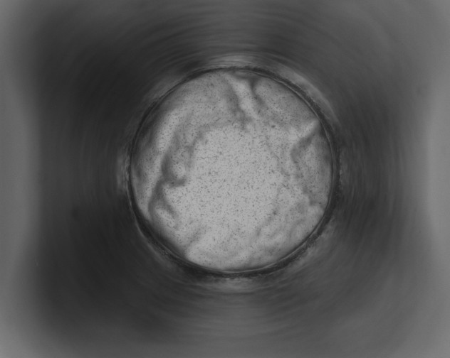 X0000100961233200807151351