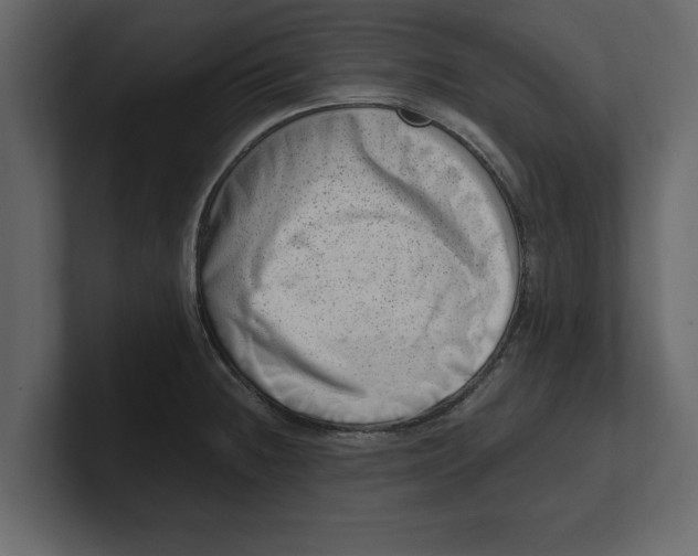 X0000100961236200807151351