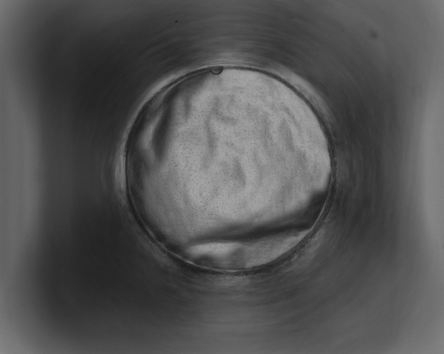 X0000100961238200807151351