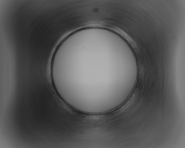 X0000100961240200807151351