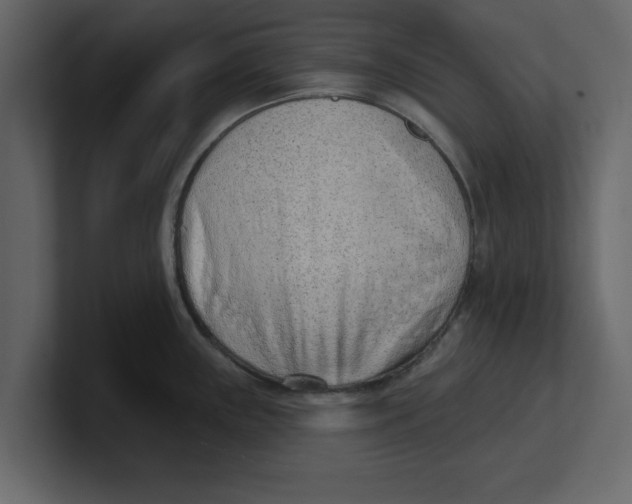 X0000100961243200807151351