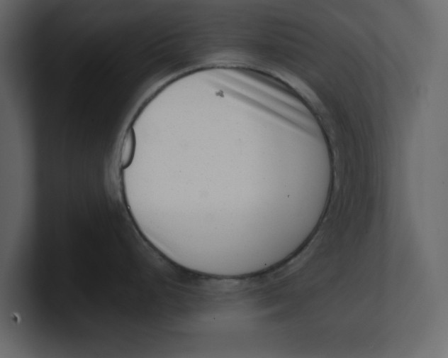 X0000100961248200807151351