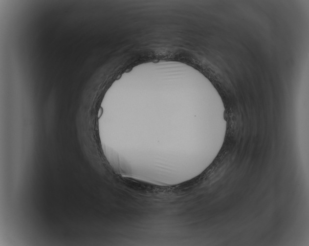 X0000100961249200807151351