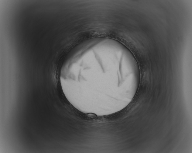 X0000100961250200807151351