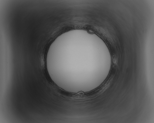 X0000100961252200807151351