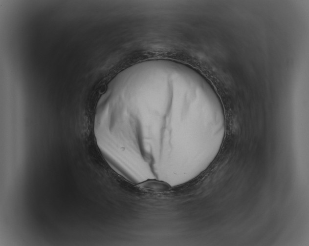 X0000100961253200807151351