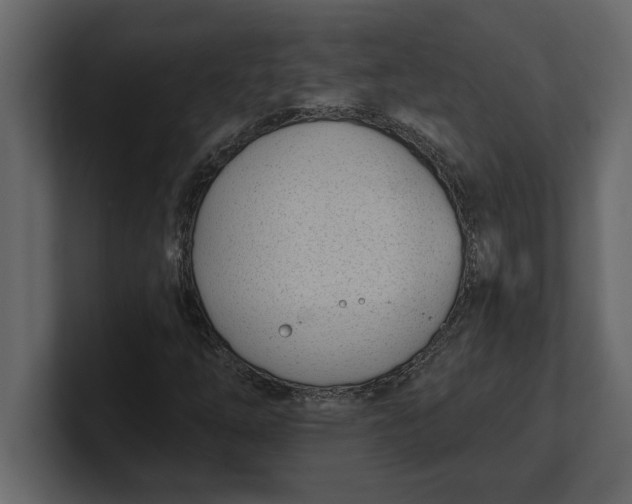 X0000100961254200807151351