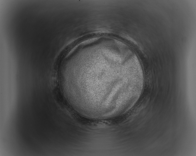 X0000100961255200807151351