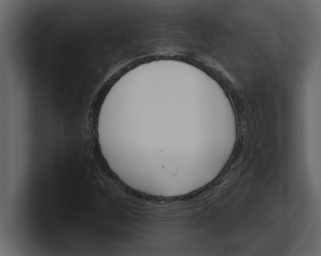 X0000100961256200807151351