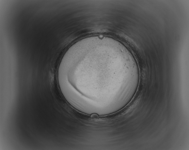 X0000100961257200807151351