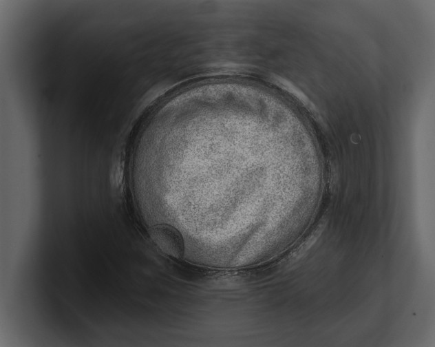 X0000100961259200807151350