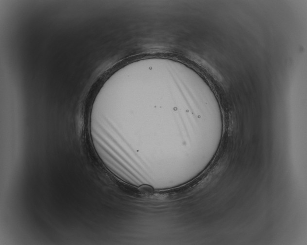 X0000100961261200807151350