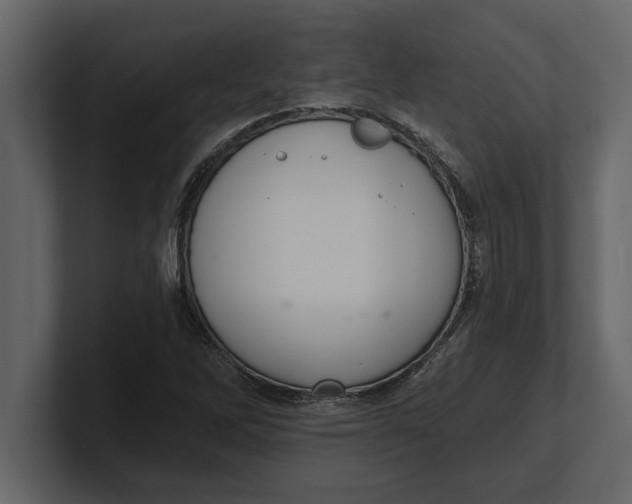 X0000100961262200807151350