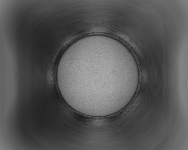 X0000100961266200807151350