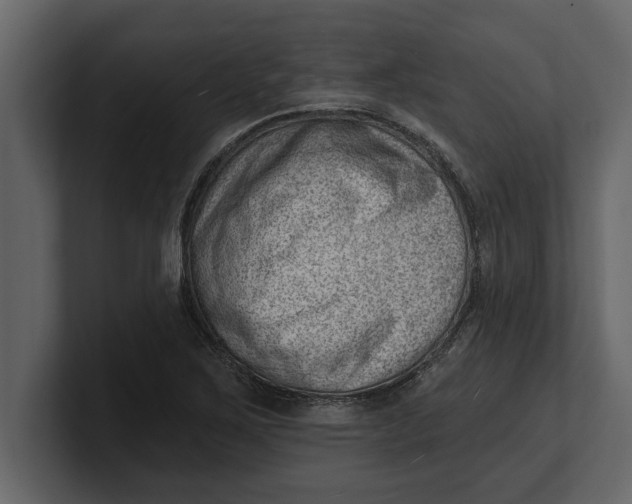 X0000100961267200807151350