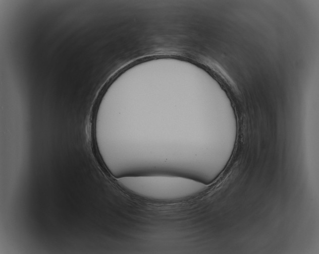 X0000100961268200807151350