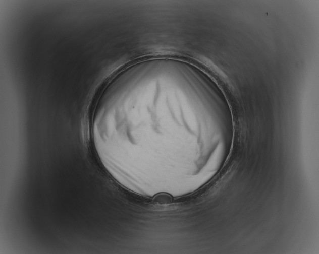 X0000100961269200807151350