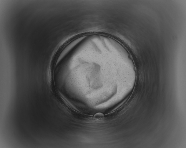 X0000100961270200807151350