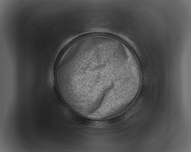 X0000100961271200807151350