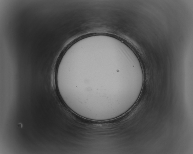 X0000100961272200807151350