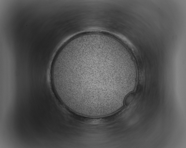 X0000100961279200807151350