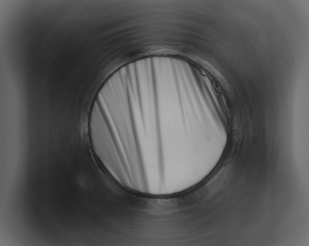 X0000100961281200807151350