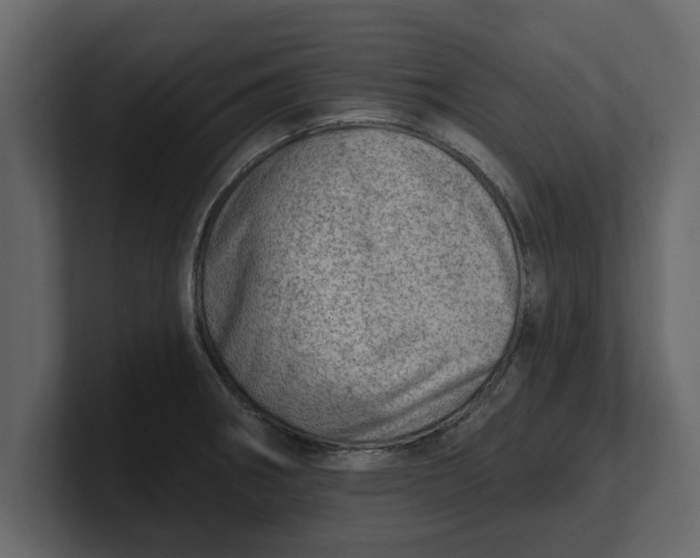 X0000100961282200807151350