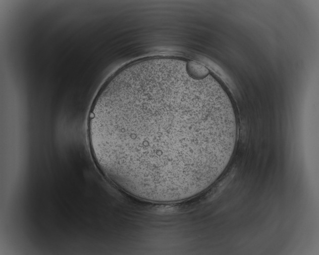 X0000100961283200807151350