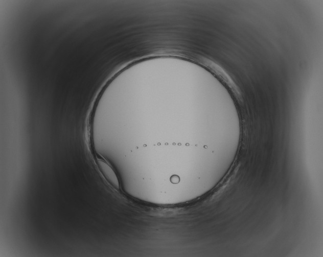 X0000100961284200807151350